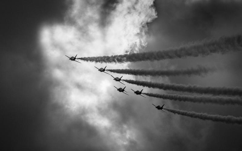 Death Defying Flying. Livingston Camera Club